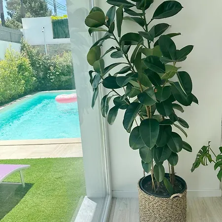Villa - Relaxing Oasis, 10 Mins To Beach, Near Lisbon